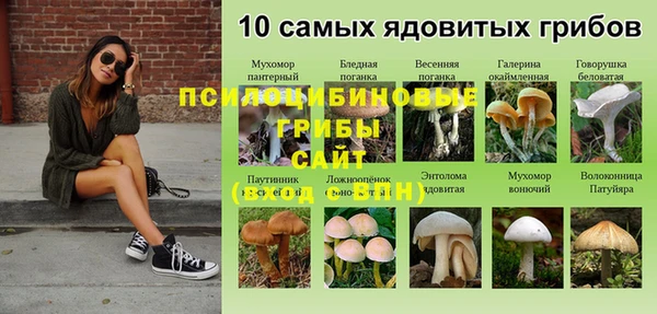 ECSTASY Алзамай